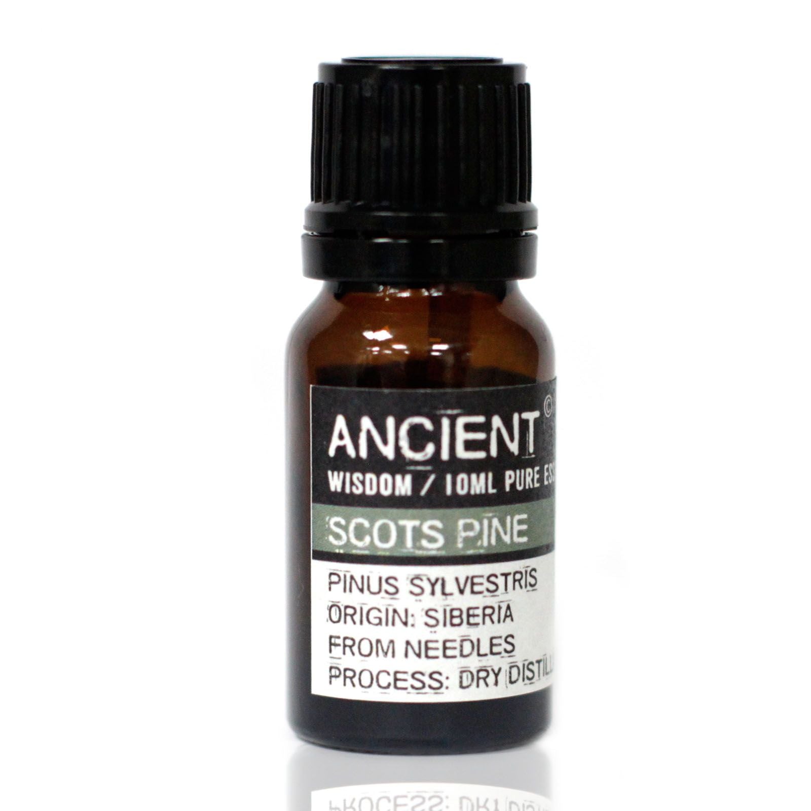 Sosna zwyczajna 10ml