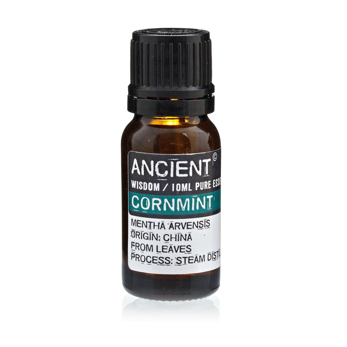 Mięta polna 10ml