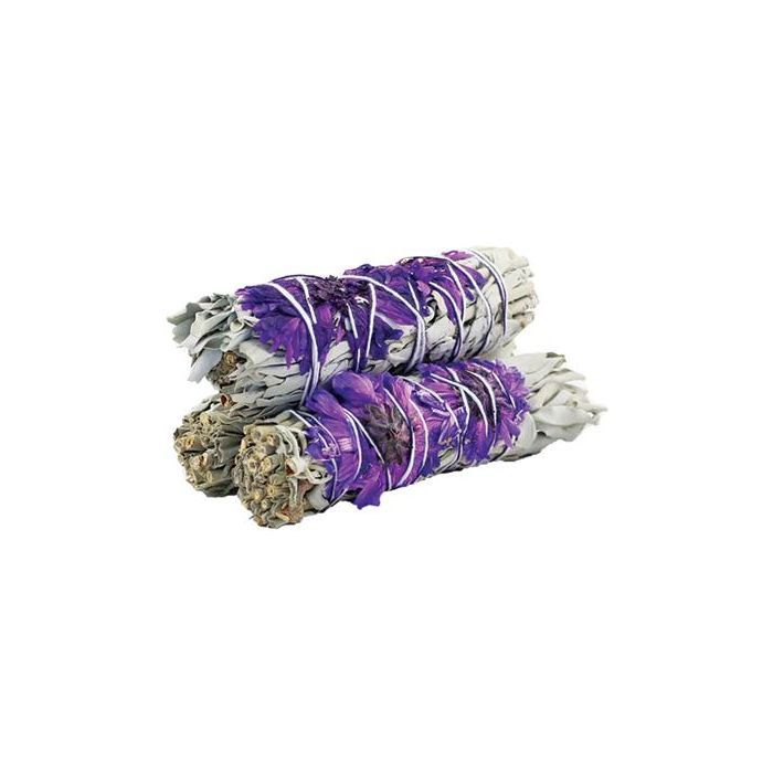 Pęczek ziół – Purple Daze Sage 10 cm