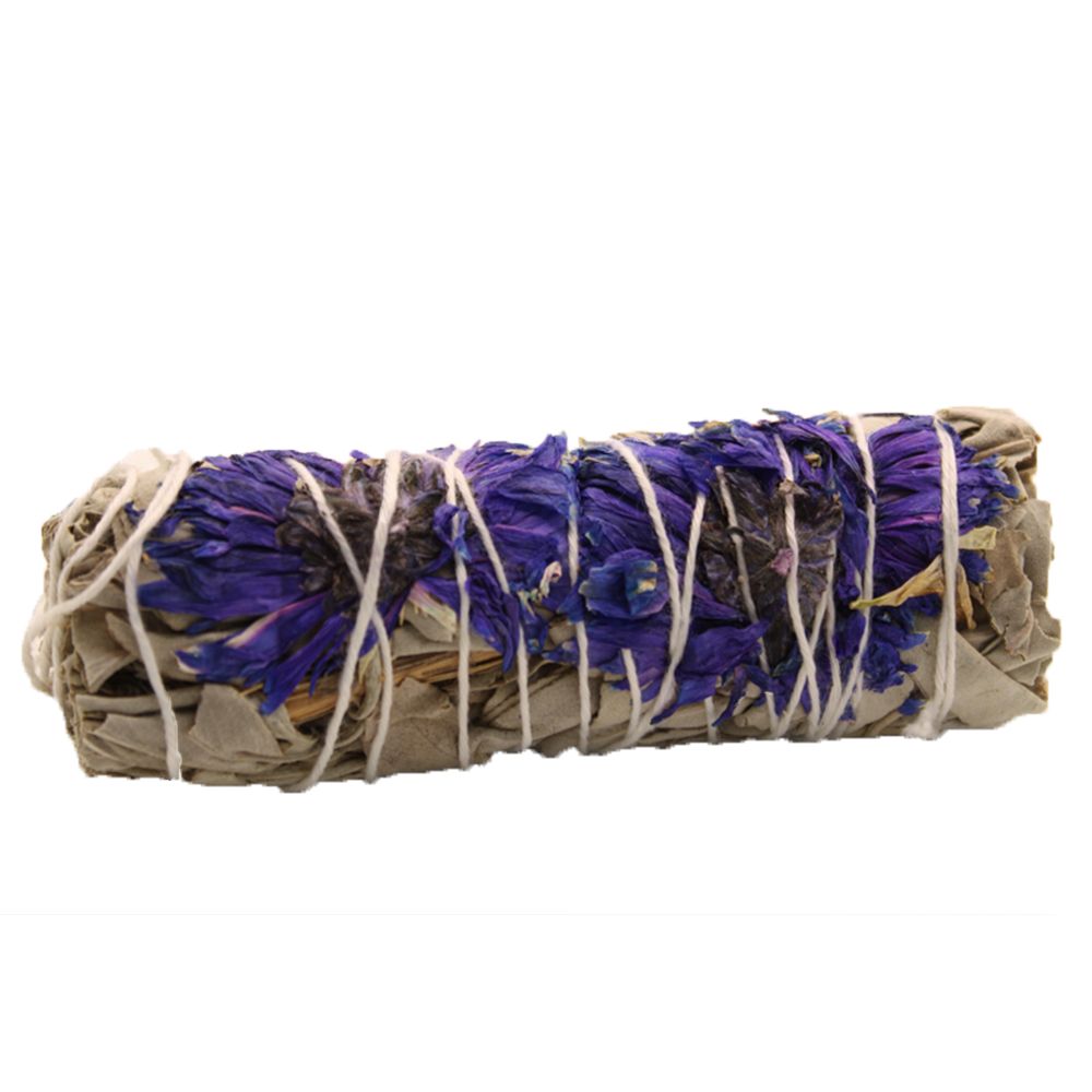 Pęczek ziół – Purple Daze Sage 10 cm