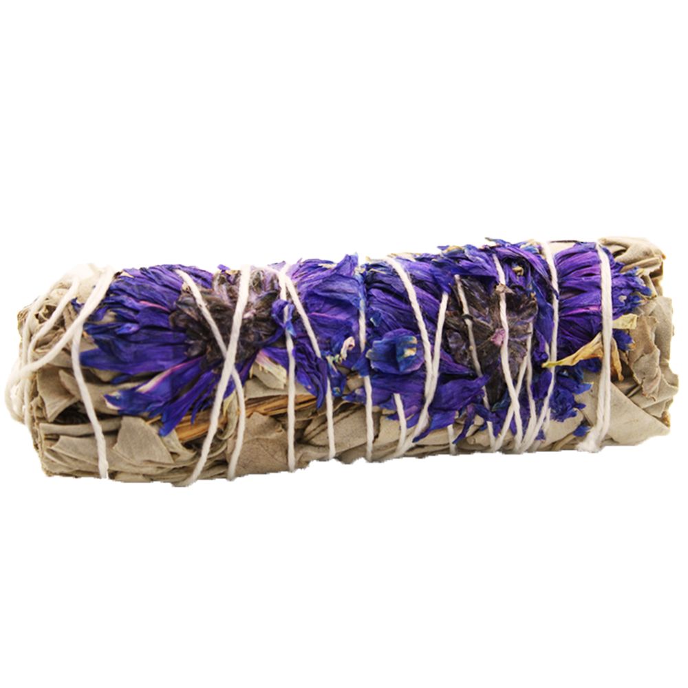 Pęczek ziół – Purple Daze Sage 10 cm