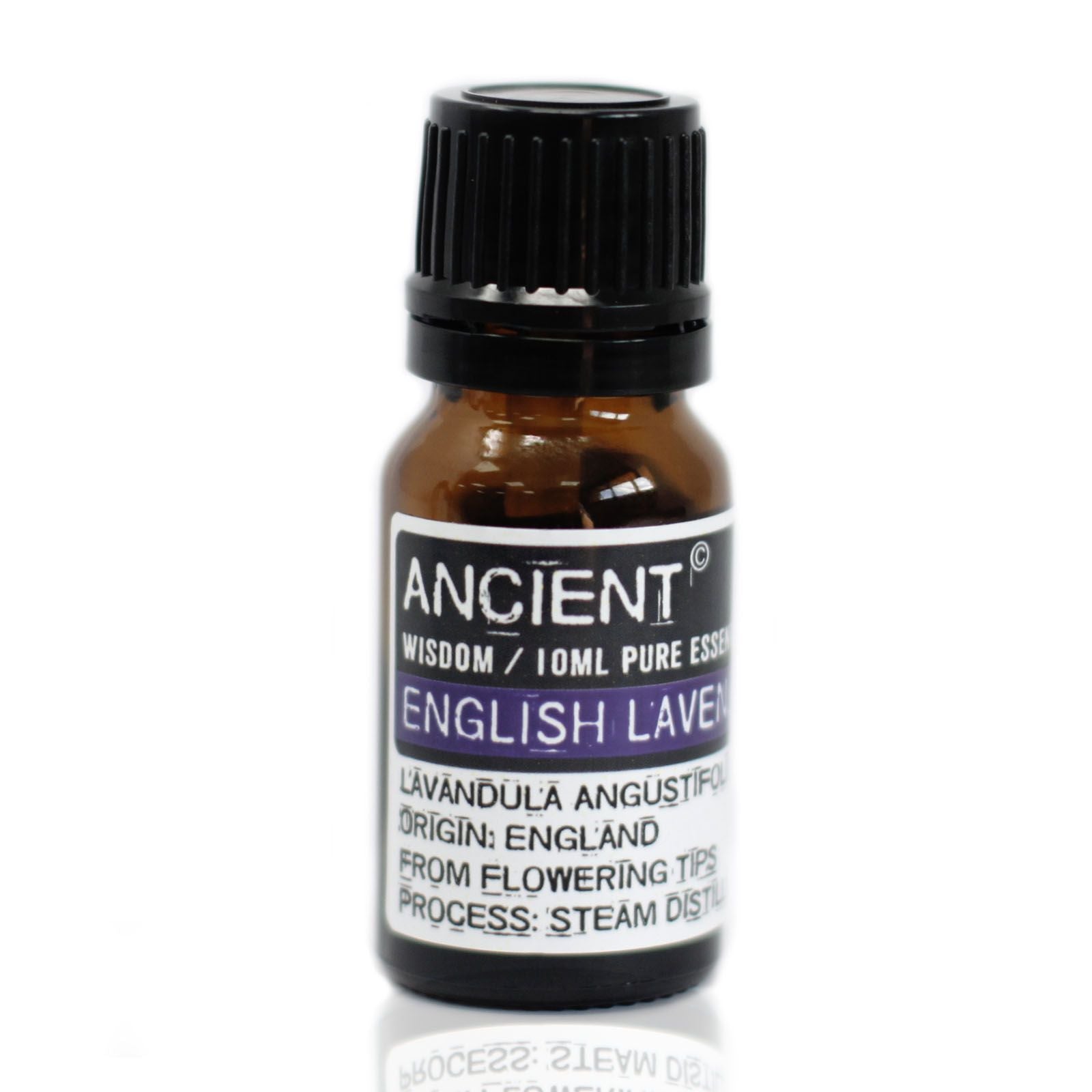 Lawenda angielska 10ml