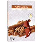Cynamon