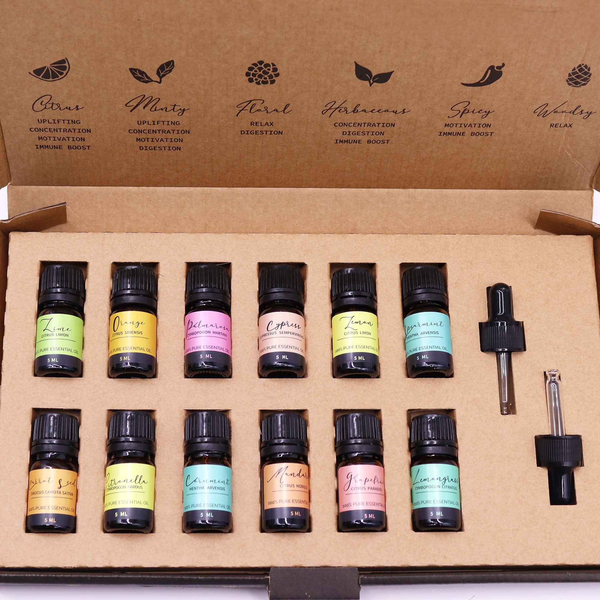Letni Zestaw Olejków – 12 x 5ml + 2 pipety