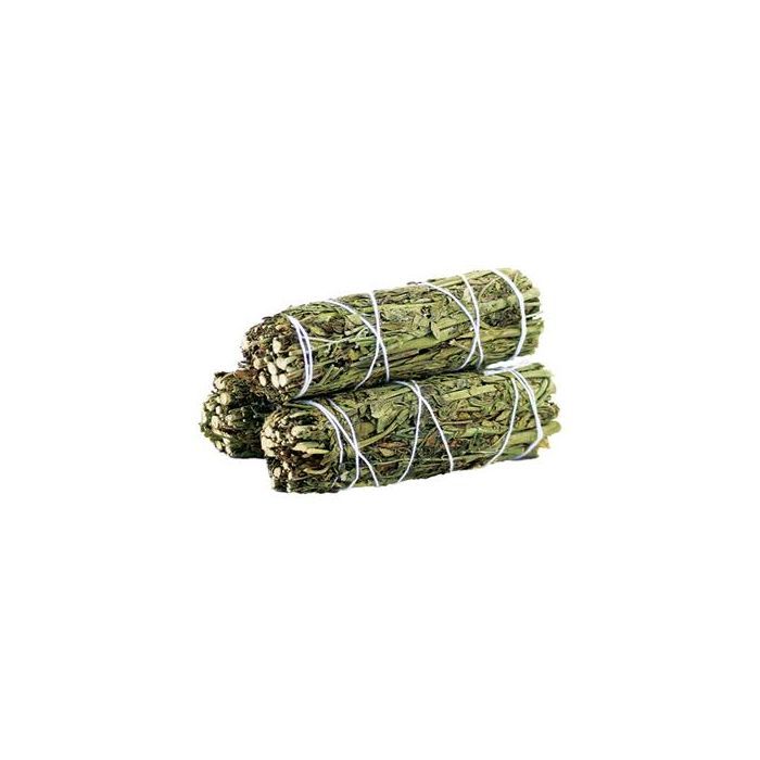 Herb Bunch – White Sage from Ruda Rue 10 cm