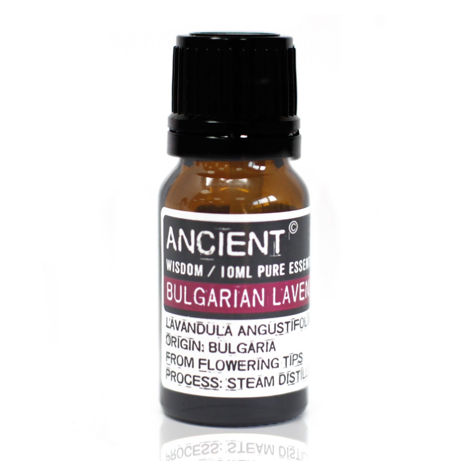 Lawenda bułgarska 10ml